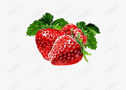 草莓个人资料介绍