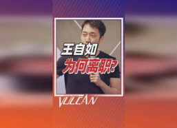 王自如 背景,从科技博主到行业领袖的蜕变之路
