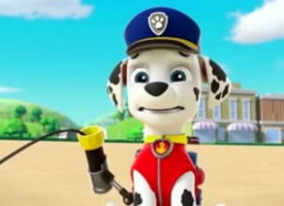 娱乐吃瓜君汪汪,揭秘娱乐圈那些不为人知的幕后故事