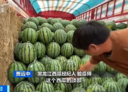 抽象带篮子娱乐吃瓜