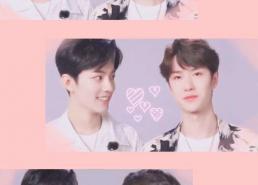 娱乐圈吃瓜合集博君一肖,娱乐圈的甜蜜瓜田，甜蜜蜜的瓜事盘点